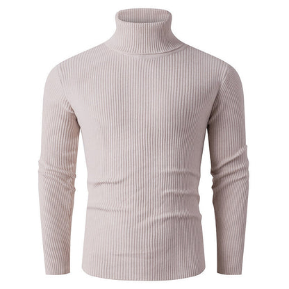 Pull en tricot pour homme Col roulé Côtes Design élégant