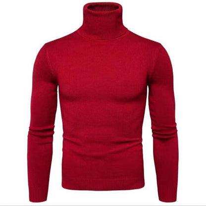 Pull col roulé en coton pour homme Design élégant
