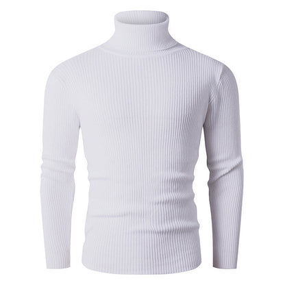 Pull en tricot pour homme Col roulé Côtes Design élégant