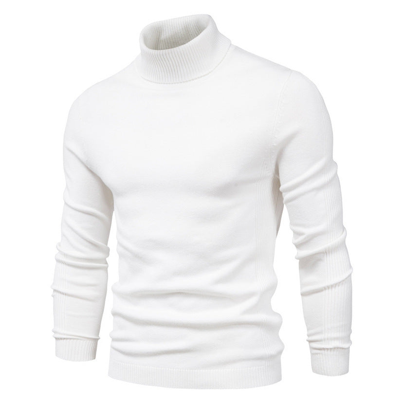 Pull Col Roulé Homme Laine Fine Design Élégant