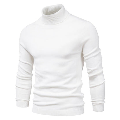 Pull Col Roulé Homme Laine Fine Design Élégant