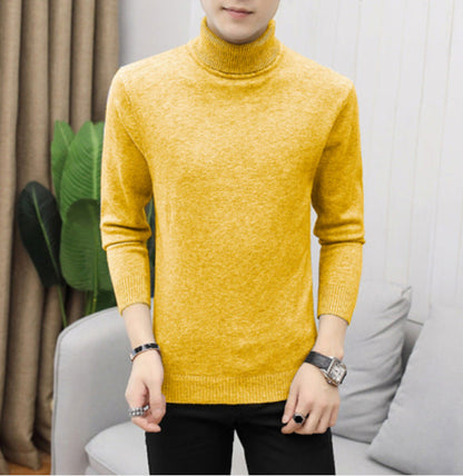 Pull col roulé en coton pour homme Design élégant