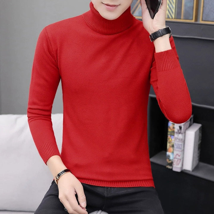 Pull col roulé homme Confortable Moderne