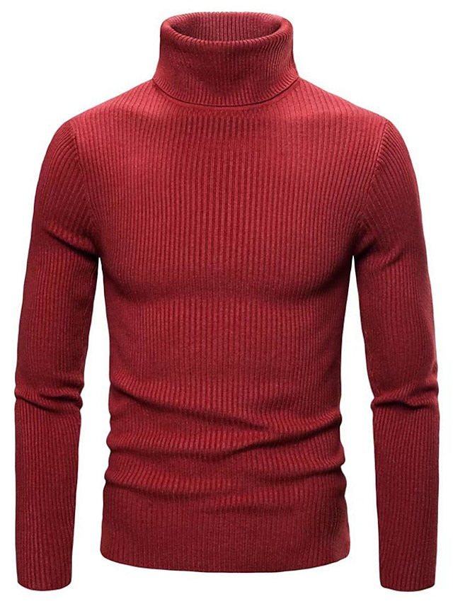 Pull en laine élégant Tom Polo pour hommes