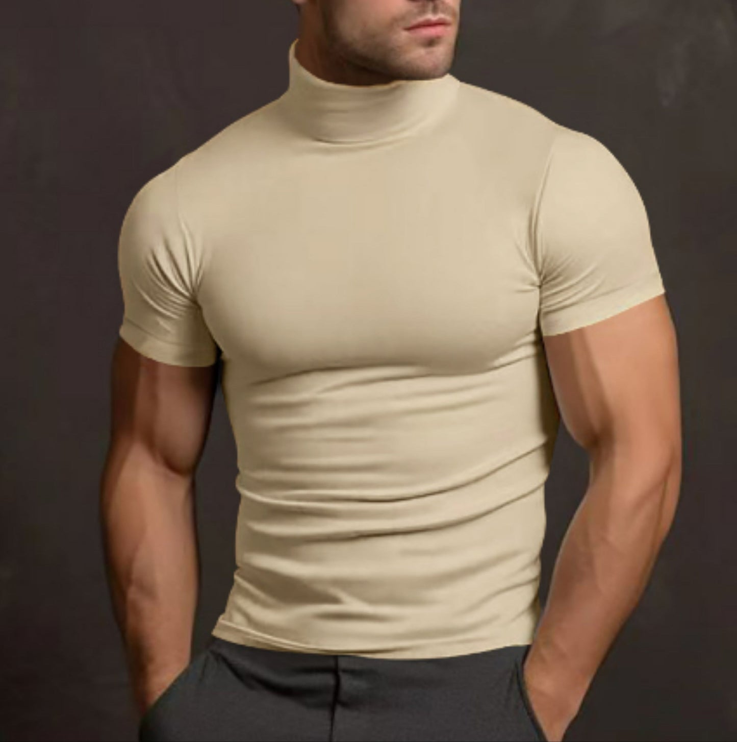 Pull col roulé homme coupe ajustée manches courtes