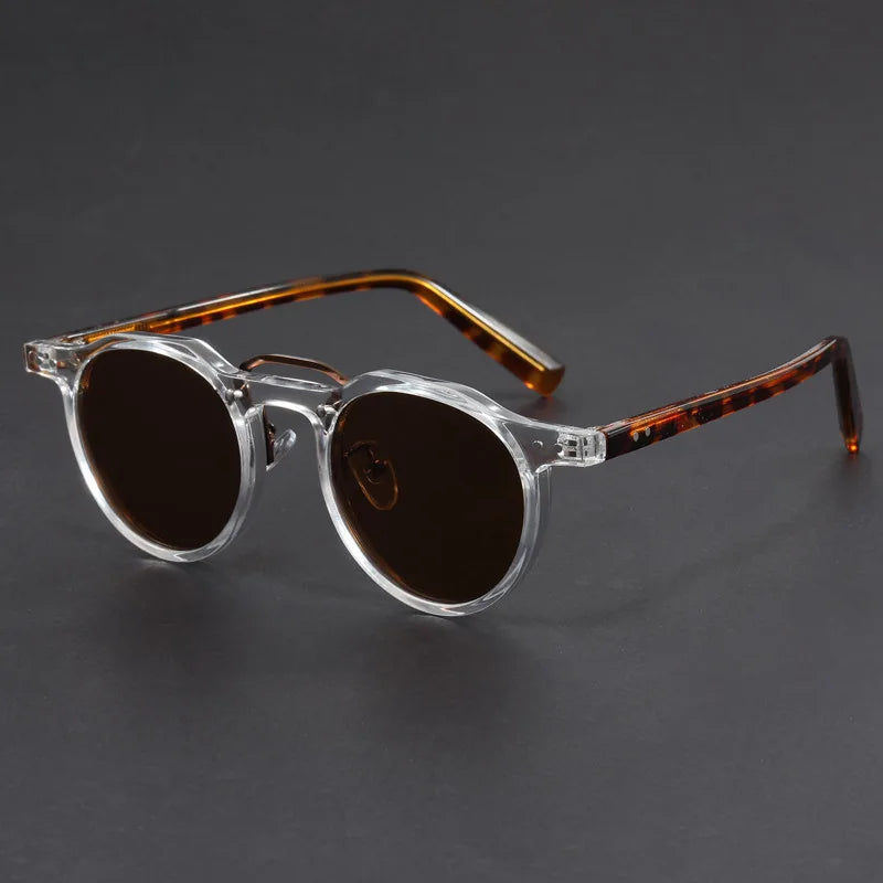 Lunettes de soleil rétro polarisées pour hommes