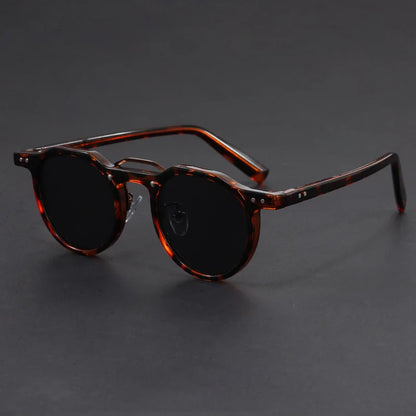 Lunettes de soleil rétro polarisées pour hommes