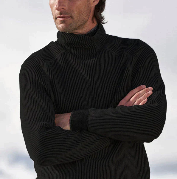 Ricardo - Pull col roulé stylé