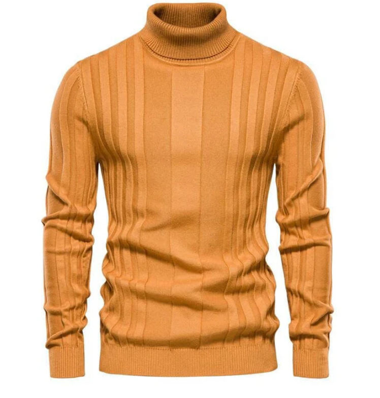 Pull roulé slim fit au design moderne