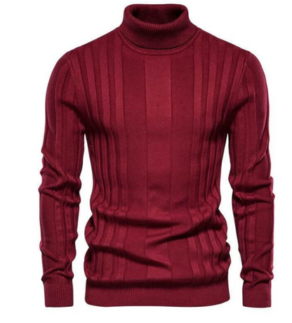 Pull roulé slim fit au design moderne