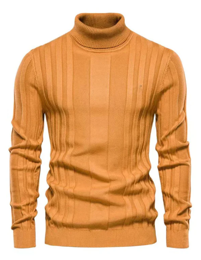 Pulls à col roulé élégants pour homme