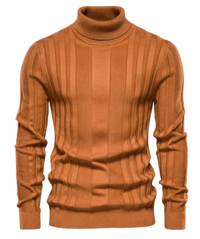 Pulls à col roulé élégants pour homme