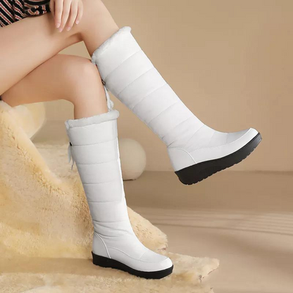 Bottes d'hiver pour femmes, hauteur genou, doublure chaude en fourrure