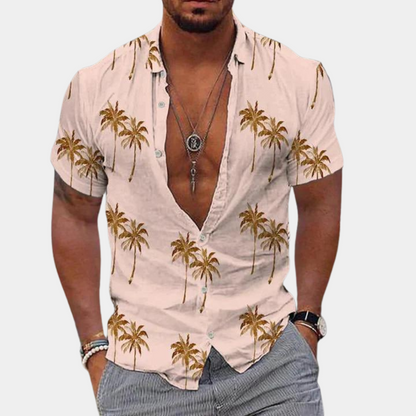 Hawaiihemd Herren Kurzarm Sommer - IdealeKleiden