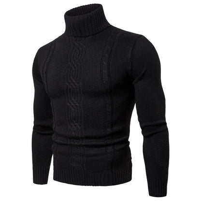 Pulls à col roulé pour hommes styles modernes