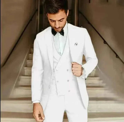 Costume homme 3 pièces élégant