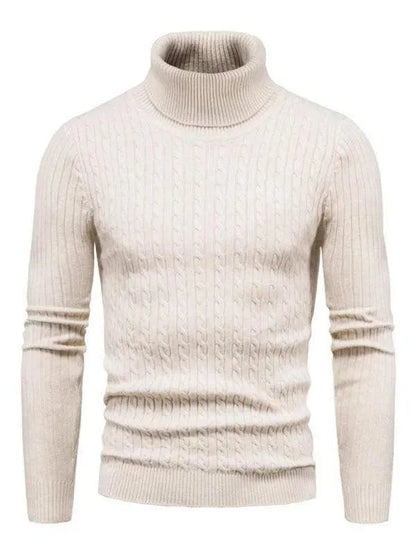 Pulls col roulé homme coupe slim