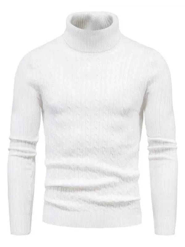 Pulls col roulé homme coupe slim