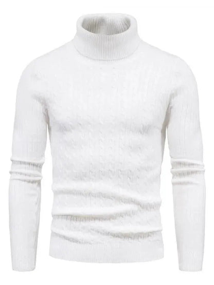 Pulls col roulé homme coupe slim