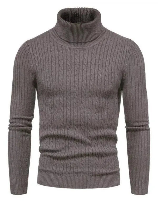 Pulls col roulé homme coupe slim