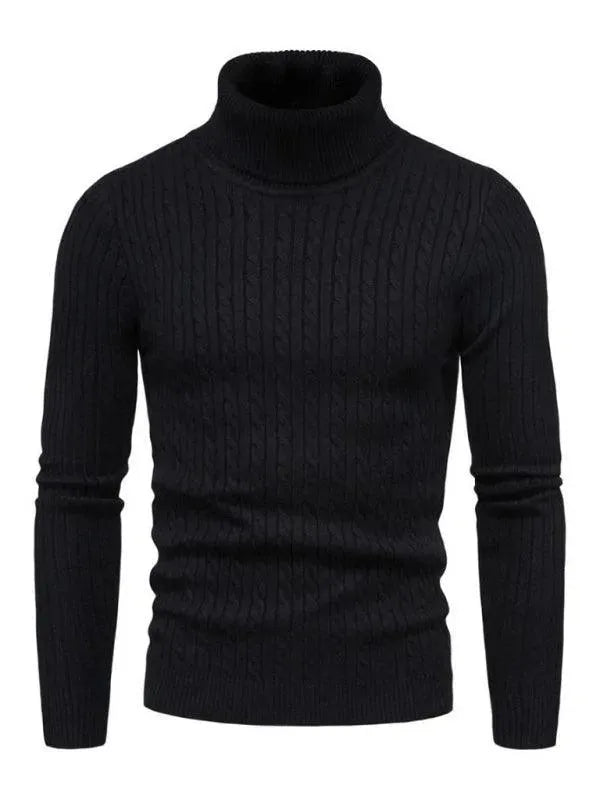 Pulls col roulé homme coupe slim