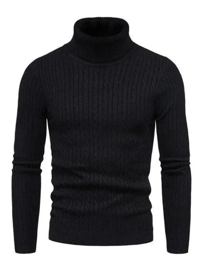 Pulls col roulé homme coupe slim