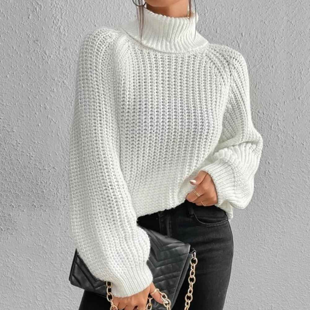 Pull pour femmes style col roulé