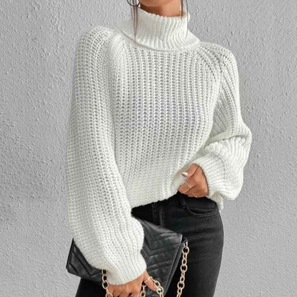 Pull pour femmes style col roulé