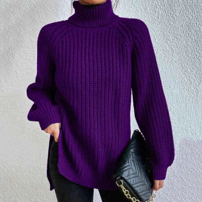 Pull pour femmes style col roulé