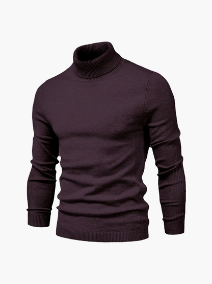 Pulls à col roulé élégants femme Business Modernes