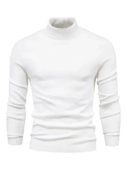 Pulls à col roulé stylés pour hommes