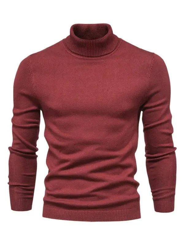 Pulls à col roulé stylés pour hommes
