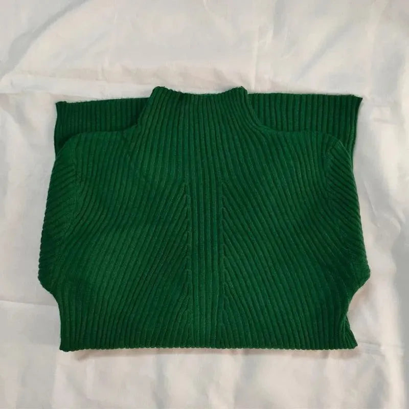 Élégant col roulé de style classique