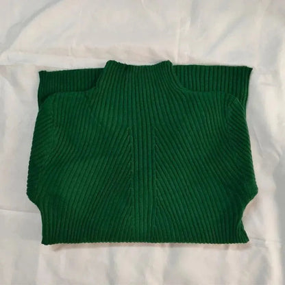 Élégant col roulé de style classique