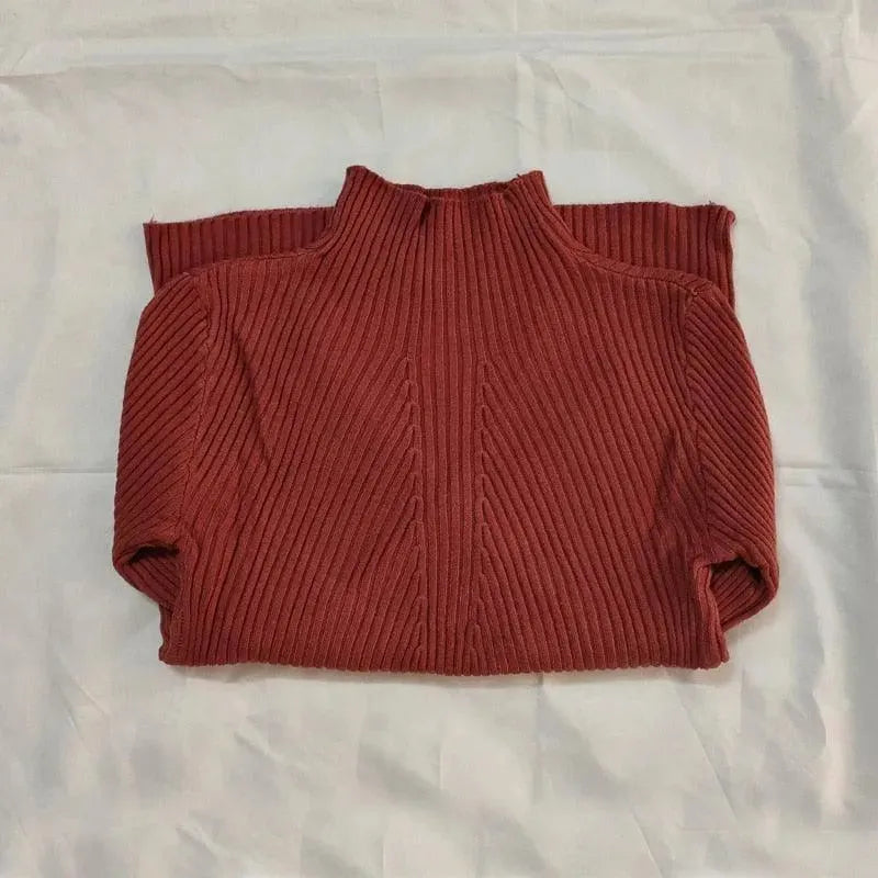 Élégant col roulé de style classique