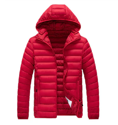 Doudoune légère femme capuche moderne