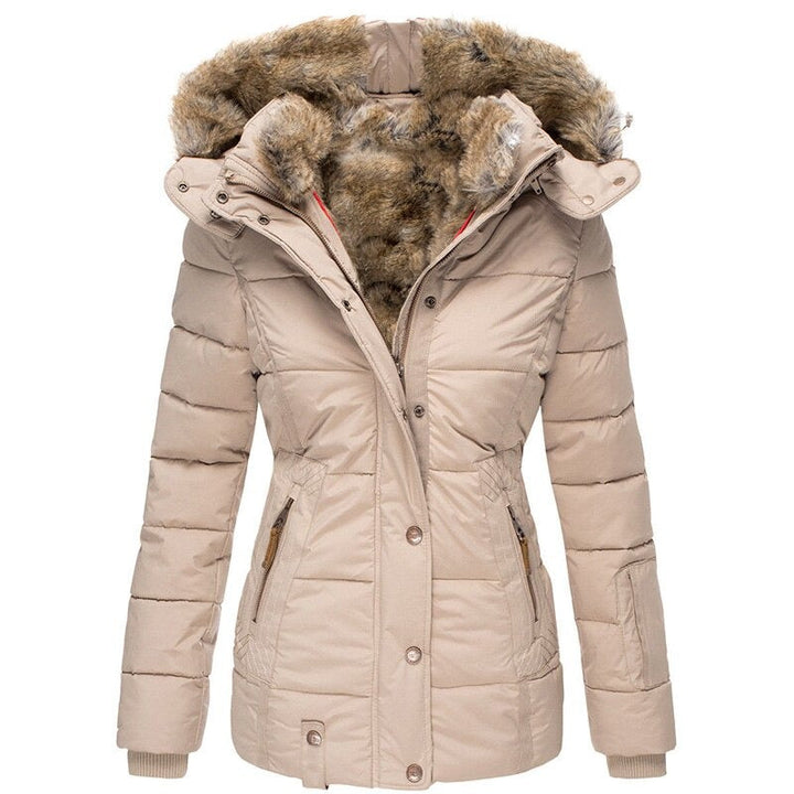 Manteau d&